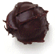 Dark Chocolate Truffle