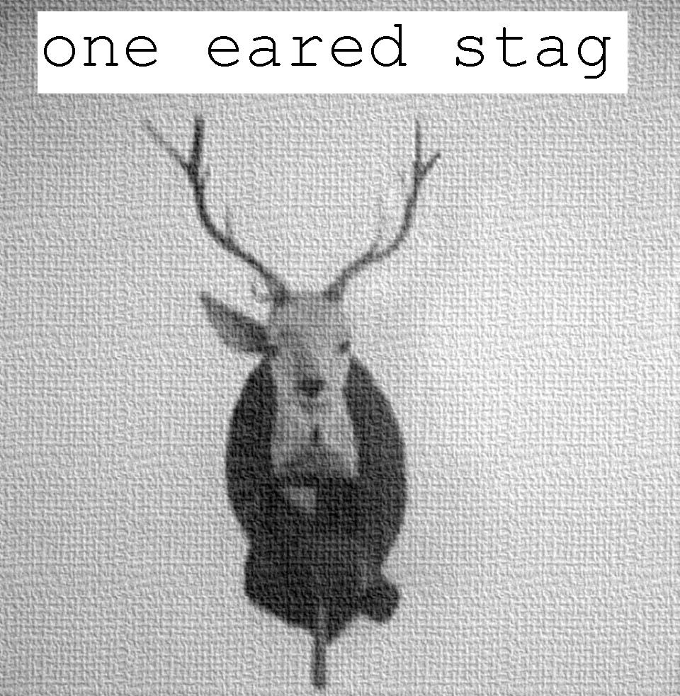 one eared stag