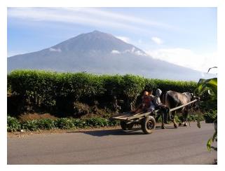 Mount Kerenci courtesy www.copibana.com