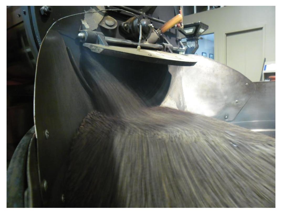 Freshly Roasted Espresso