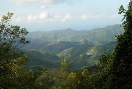 Jamaica Blue Mountains