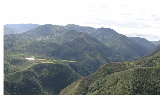 Colombian Narino Coffee