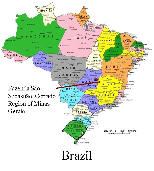 Brazil Cerrado - Fazenda São Sebastião