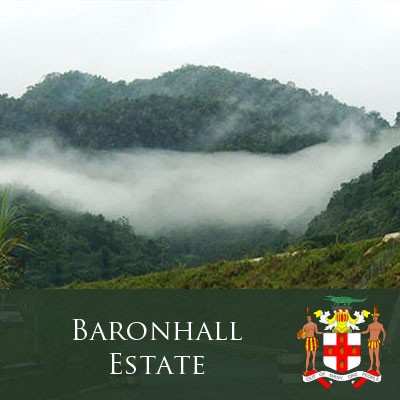 Jamaica High Mountain Supreme "Baronhall Estate"