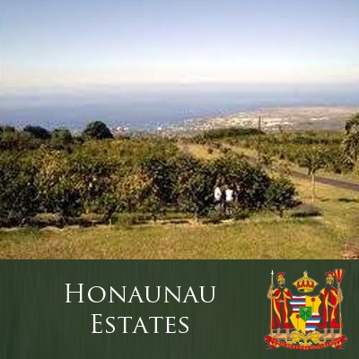 Hawaiian Kona Coffee "Honaunau Estates"