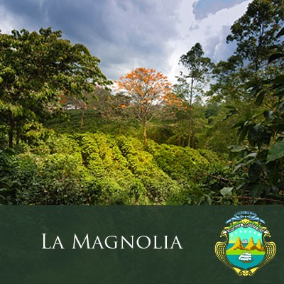 Costa Rica Tres Rios "La Magnolia"
