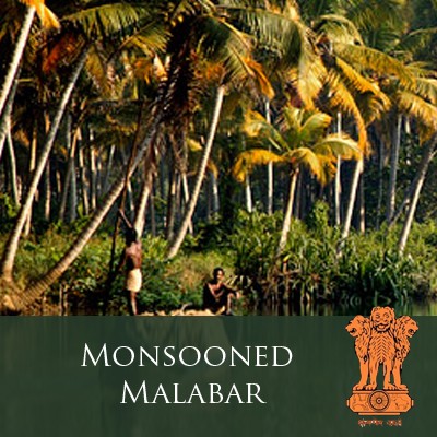 India "Monsooned Malabar" Coffee