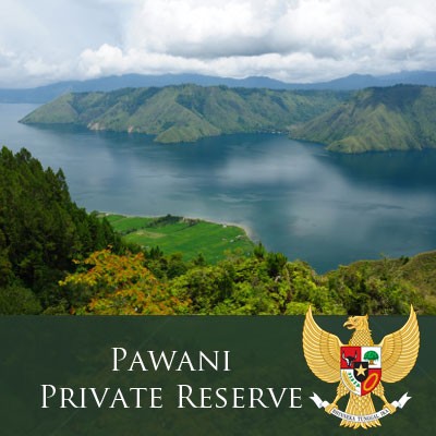 Sumatra Mandheling Coffee "Pawani Private Reserve"