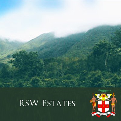 Jamaica Blue Mountain "RSW Estates"