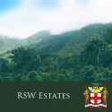 Jamaica Blue Mountain "RSW Estates"