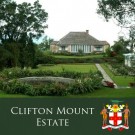 Jamaica Blue Mountain "Clifton Mount Estate"